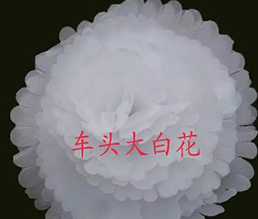 祭祀用品