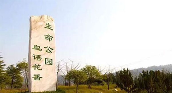 丧葬习俗：吊唁仪式
