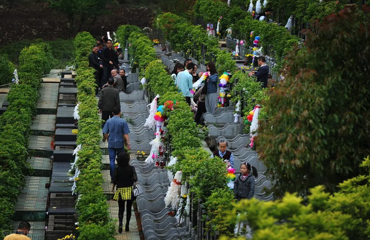 清明虽已远去，但人们的思念依然如缕缕青烟，萦绕在武汉的陵园上空